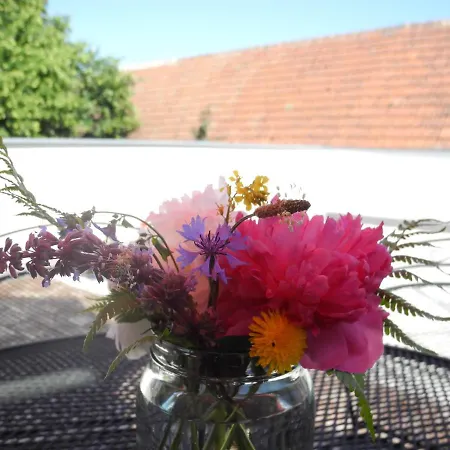 Apartment Am Lindenhof Lengenfeld